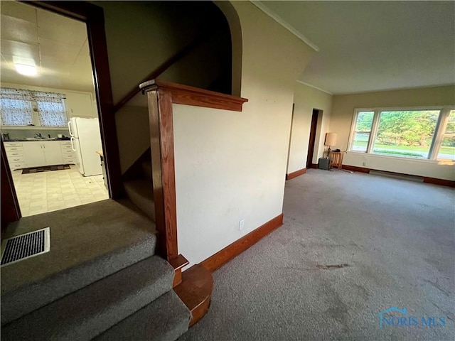 11157 State Route 500, Paulding, OH 45879 - stairway featuring carpet flooring and baseboards