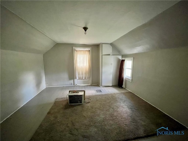 11157 State Route 500, Paulding, OH 45879 - bonus room with lofted ceiling and light carpet