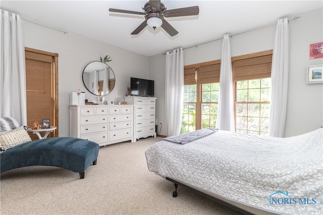 720 S Westfield Dr, Gibsonburg, OH 43431 - photo 20