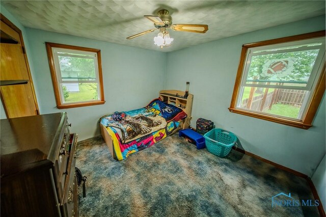 327 Klingler Rd, Paulding, OH 45879 - carpeted bedroom featuring multiple windows and ceiling fan