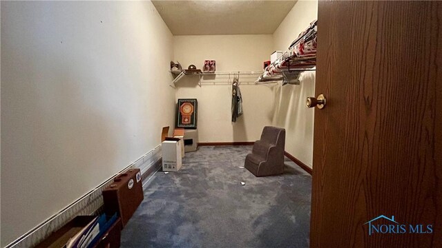 13926 Rd 154, Paulding, OH 45879 - walk in closet featuring carpet floors