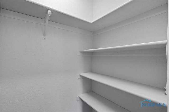 1141 Oriole Dr, Bowling Green, OH 43402 - view of walk in closet