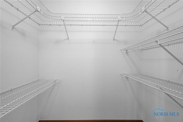 1141 Oriole Dr, Bowling Green, OH 43402 - view of walk in closet