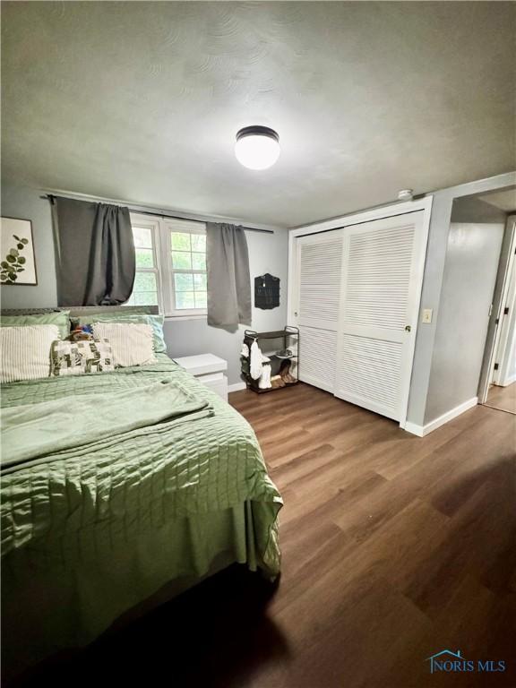 309 Koerber Dr, Defiance, OH 43512 - bedroom featuring wood finished floors and a closet