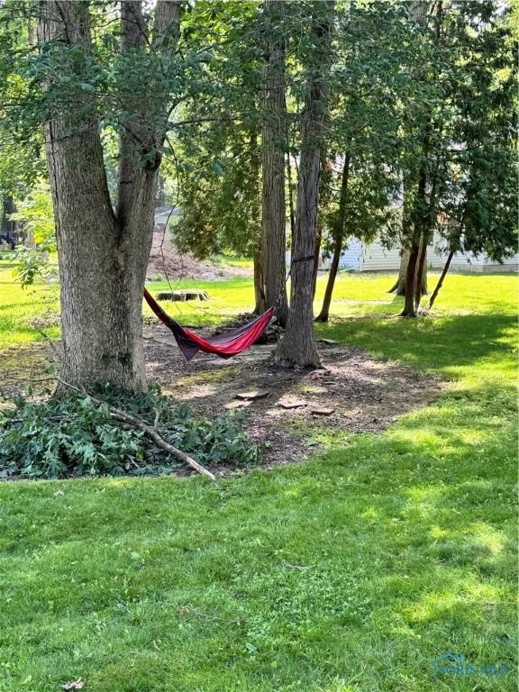 309 Koerber Dr, Defiance, OH 43512 - view of grassy yard