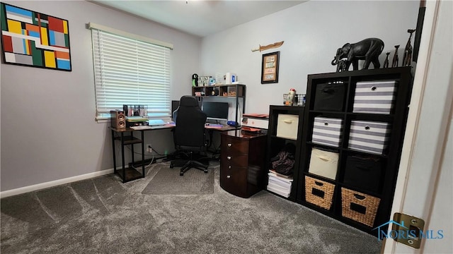 3713 Treelawn Dr, Toledo, OH 43614 - office space with carpet and baseboards