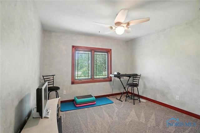 24340 Hull Prairie Rd, Perrysburg, OH 43551 - photo 22