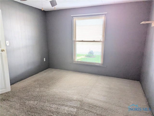 443 N Michigan Ave, Edgerton, OH 43517 - spare room with healthy amount of natural light, a ceiling fan, and carpet