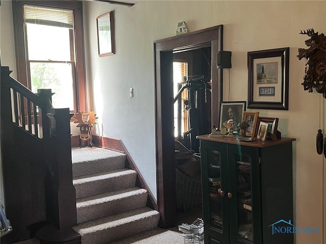 13645 Shaffer Rd, Swanton, OH 43558 - photo 5