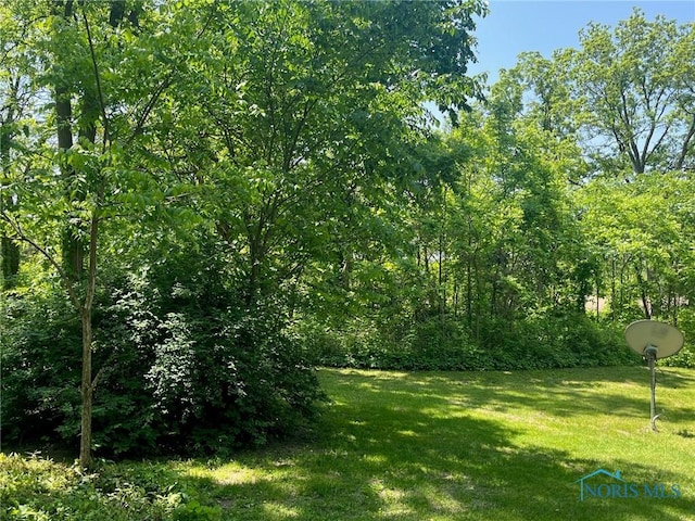 13645 Shaffer Rd, Swanton, OH 43558 - photo 28