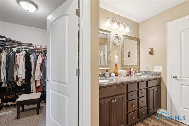 10 Hidden Village Ln, Holland, OH 43528 - full bathroom featuring double vanity and a spacious closet