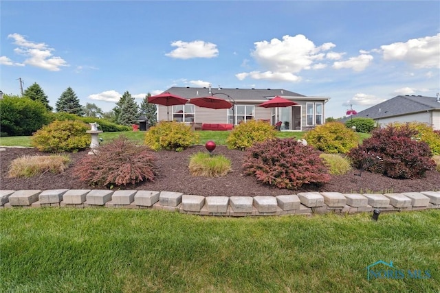10 Hidden Village Ln, Holland, OH 43528 - back of house featuring a lawn