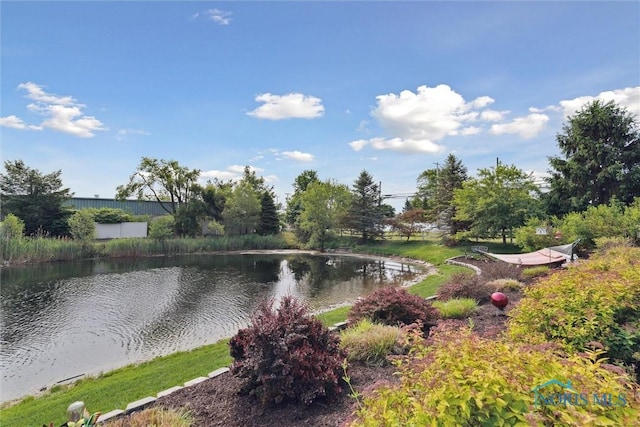 10 Hidden Village Ln, Holland, OH 43528 - water view