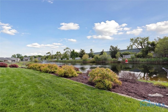 10 Hidden Village Ln, Holland, OH 43528 - water view