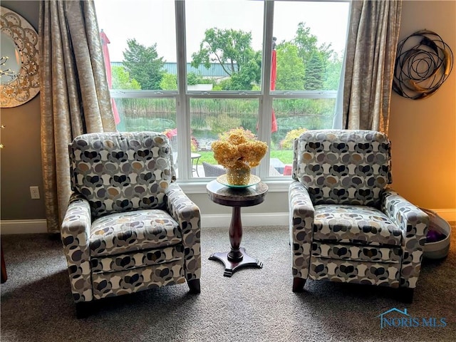 10 Hidden Village Ln, Holland, OH 43528 - sitting room featuring carpet floors and baseboards