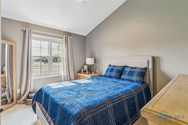 3112 Jacob Dr, Findlay, OH 45840 - bedroom with carpet floors and lofted ceiling