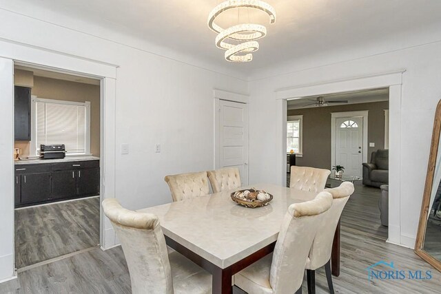 1129 Mason St, Toledo, OH 43605 - dining space with light wood-style flooring, a chandelier, and a ceiling fan