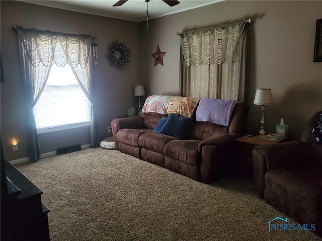 406 S State St, Pioneer, OH 43554 - living room with carpet floors, ceiling fan, and baseboards