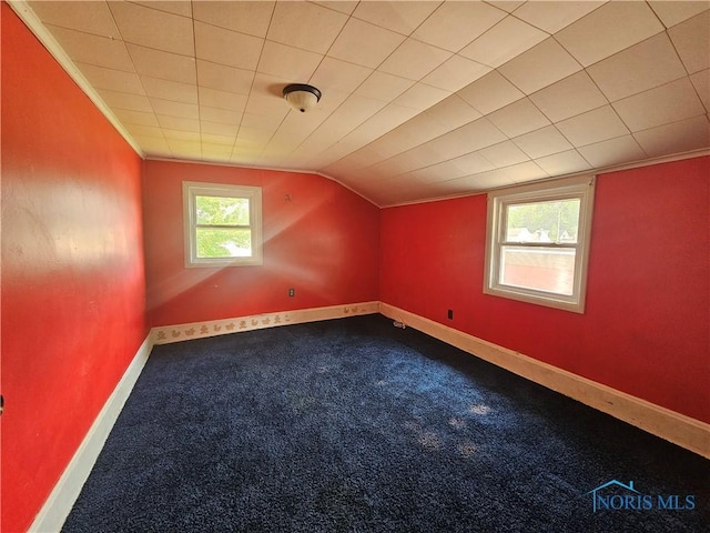 222 Hopkins St, Defiance, OH 43512 - photo 16