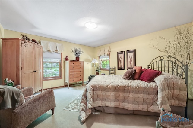 25840 W River Rd, Perrysburg, OH 43551 - view of carpeted bedroom