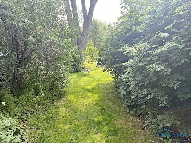 932 N Grove St, Bowling Green, OH 43402 - view of nature