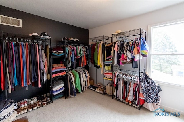 7663 Cortland Ct, Holland, OH 43528 - walk in closet featuring carpet