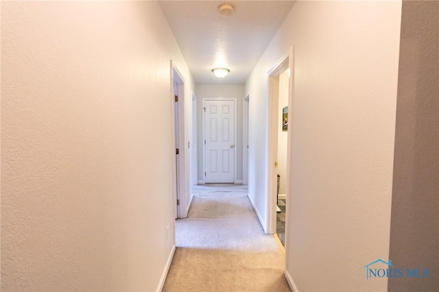 7663 Cortland Ct, Holland, OH 43528 - hall with light carpet and baseboards