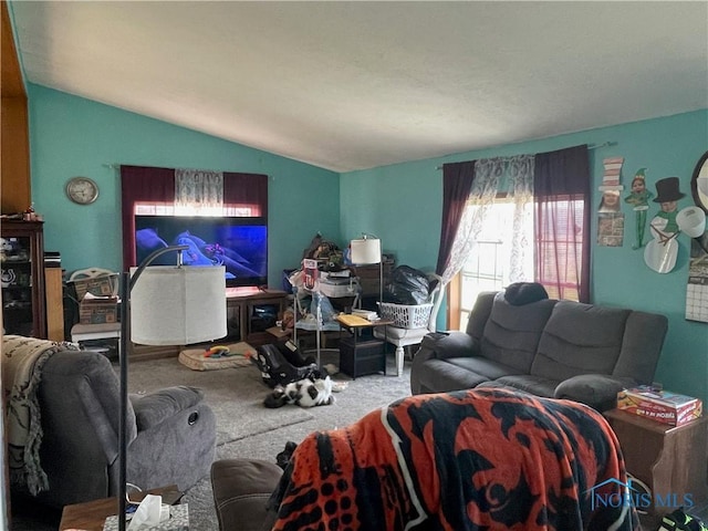 7774 Scott Rd, Edgerton, OH 43517 - carpeted living area with lofted ceiling