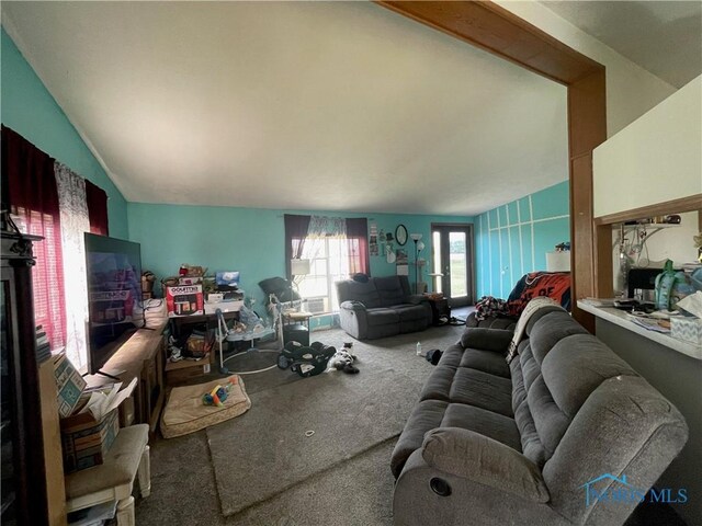 7774 Scott Rd, Edgerton, OH 43517 - carpeted living room with vaulted ceiling