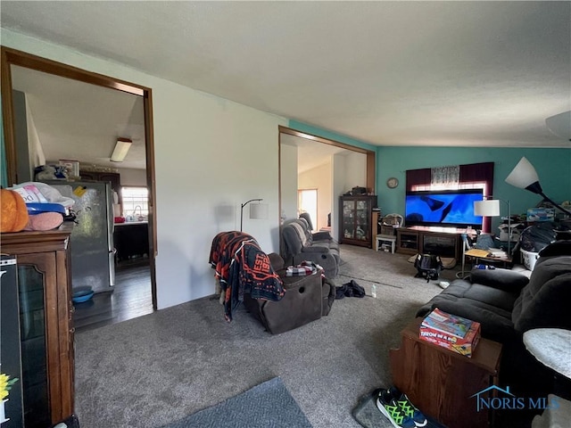 7774 Scott Rd, Edgerton, OH 43517 - living area with carpet flooring