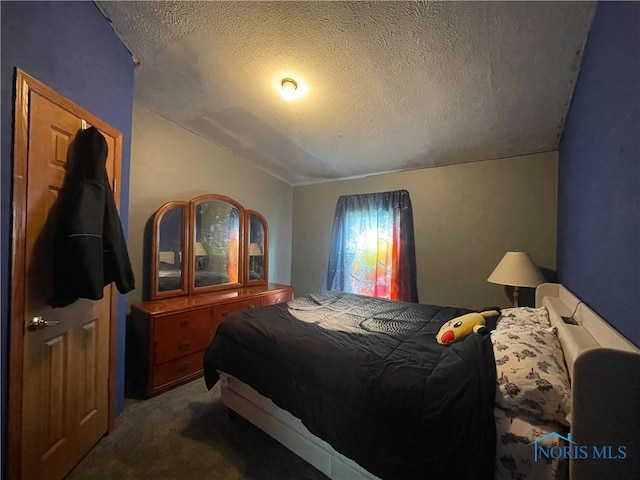 7774 Scott Rd, Edgerton, OH 43517 - bedroom with a textured ceiling, carpet flooring, and vaulted ceiling