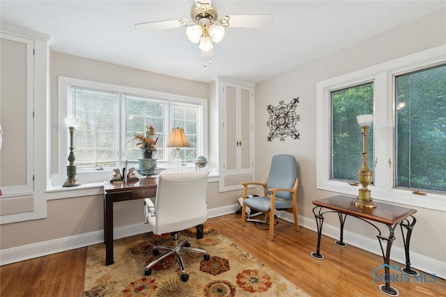 2917 Goddard Rd, Toledo, OH 43606 - home office featuring wood finished floors, plenty of natural light, and ceiling fan