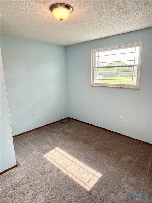 1105 S Lallendorf Rd, Oregon, OH 43616 - unfurnished room with carpet floors and a textured ceiling
