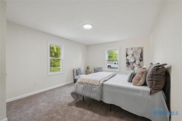 1006 Brookley Blvd, Toledo, OH 43607 - bedroom with carpet flooring and baseboards