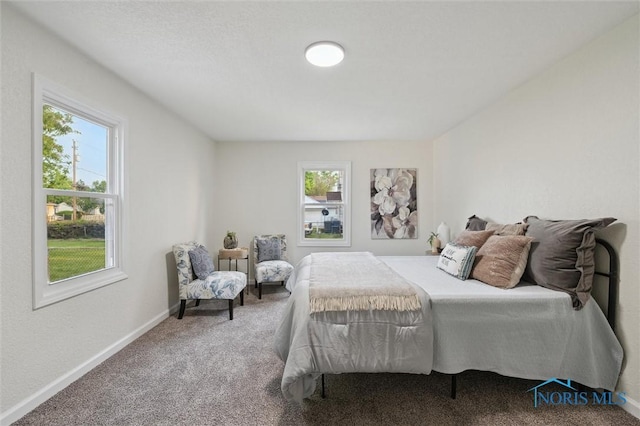 1006 Brookley Blvd, Toledo, OH 43607 - bedroom with carpet floors and baseboards