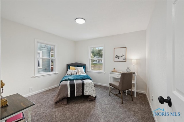 1006 Brookley Blvd, Toledo, OH 43607 - bedroom featuring carpet and baseboards
