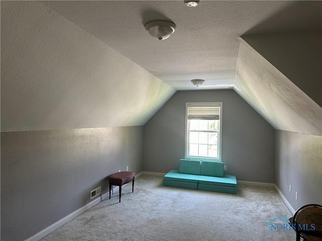 8828 Cedar Bend Rd, Sylvania, OH 43560 - additional living space featuring a textured ceiling, carpet flooring, and vaulted ceiling