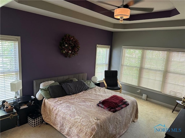 8828 Cedar Bend Rd, Sylvania, OH 43560 - bedroom featuring carpet flooring and a tray ceiling