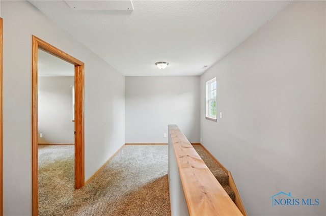 536 N Johnson St, Ada, OH 45810 - hallway with carpet and baseboards
