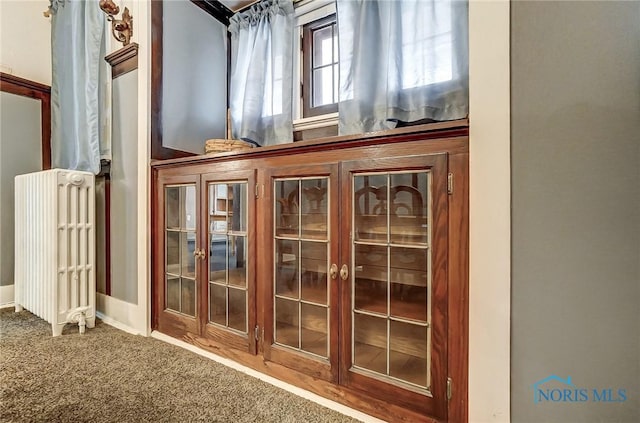 7149 Wales Rd, Northwood, OH 43619 - detailed view of carpet floors and radiator heating unit