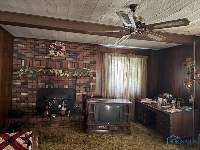 230 Main St, Helena, OH 43435 - photo 19