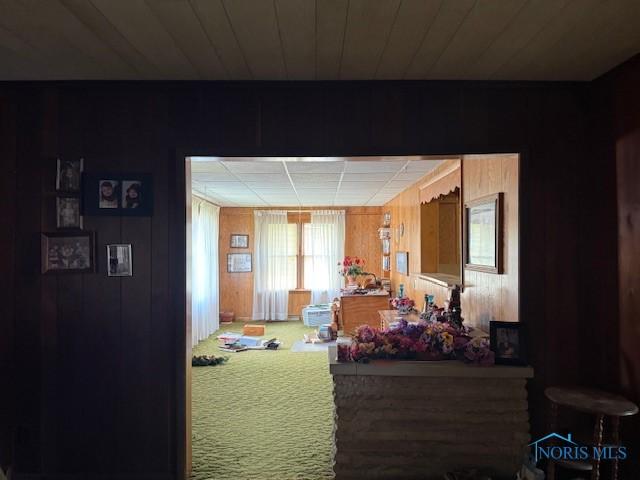 230 Main St, Helena, OH 43435 - photo 20