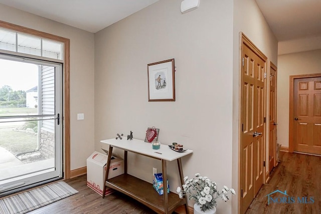 11023 Bay Trace Dr, Perrysburg, OH 43551 - doorway featuring wood finished floors and baseboards
