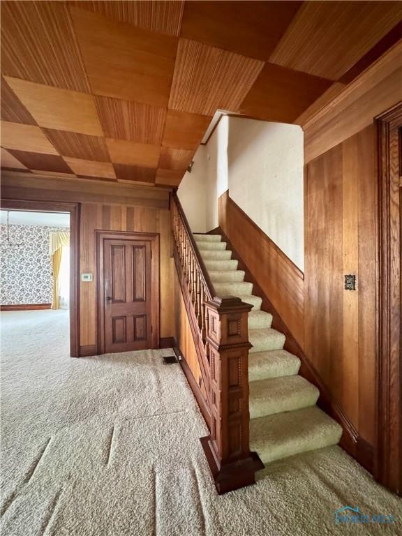 308 S Main St, Hicksville, OH 43526 - stairway with wood ceiling, wood walls, and carpet