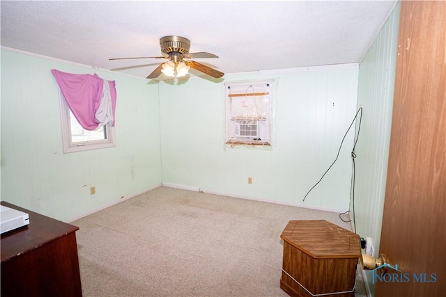 205 N Grant St, Paulding, OH 45879 - unfurnished bedroom with carpet and ceiling fan