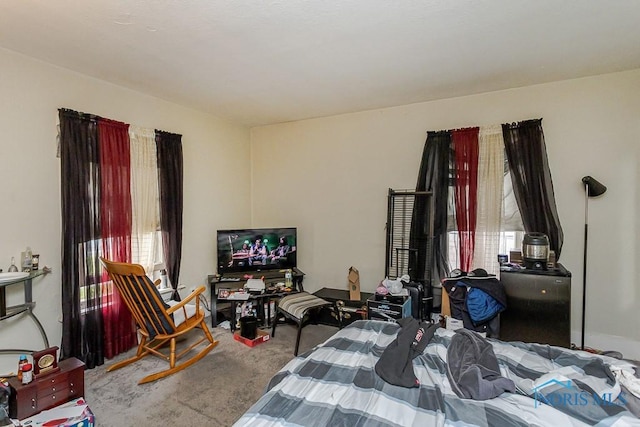 815 Dunwood Ct, Toledo, OH 43609 - bedroom with carpet and multiple windows
