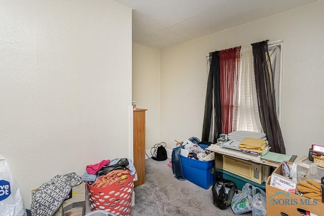 815 Dunwood Ct, Toledo, OH 43609 - misc room featuring carpet floors
