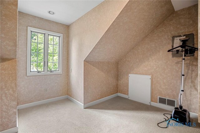 16890 W River Rd, Bowling Green, OH 43402 - additional living space featuring carpet flooring, lofted ceiling, and baseboards