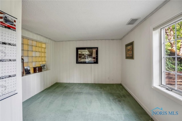 16890 W River Rd, Bowling Green, OH 43402 - spare room with carpet floors and a textured ceiling