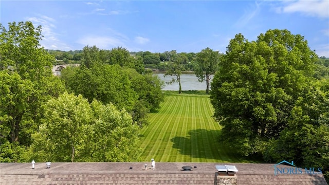 16890 W River Rd, Bowling Green, OH 43402 - view of green lawn featuring a water view